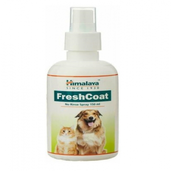 FreshCoat